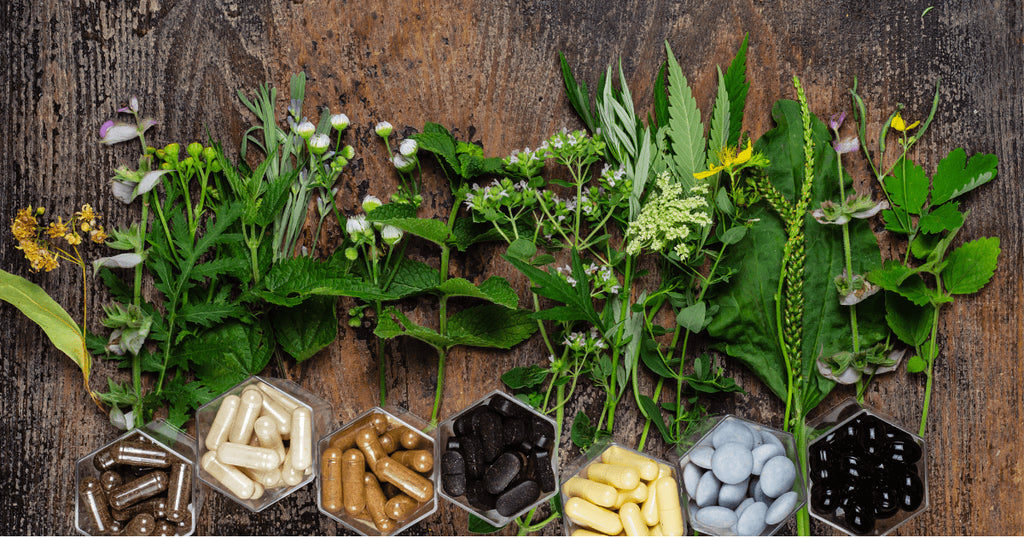 From Superfoods to Super You: Elevate Your Health with Nutrient-rich Choices